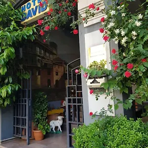 book here